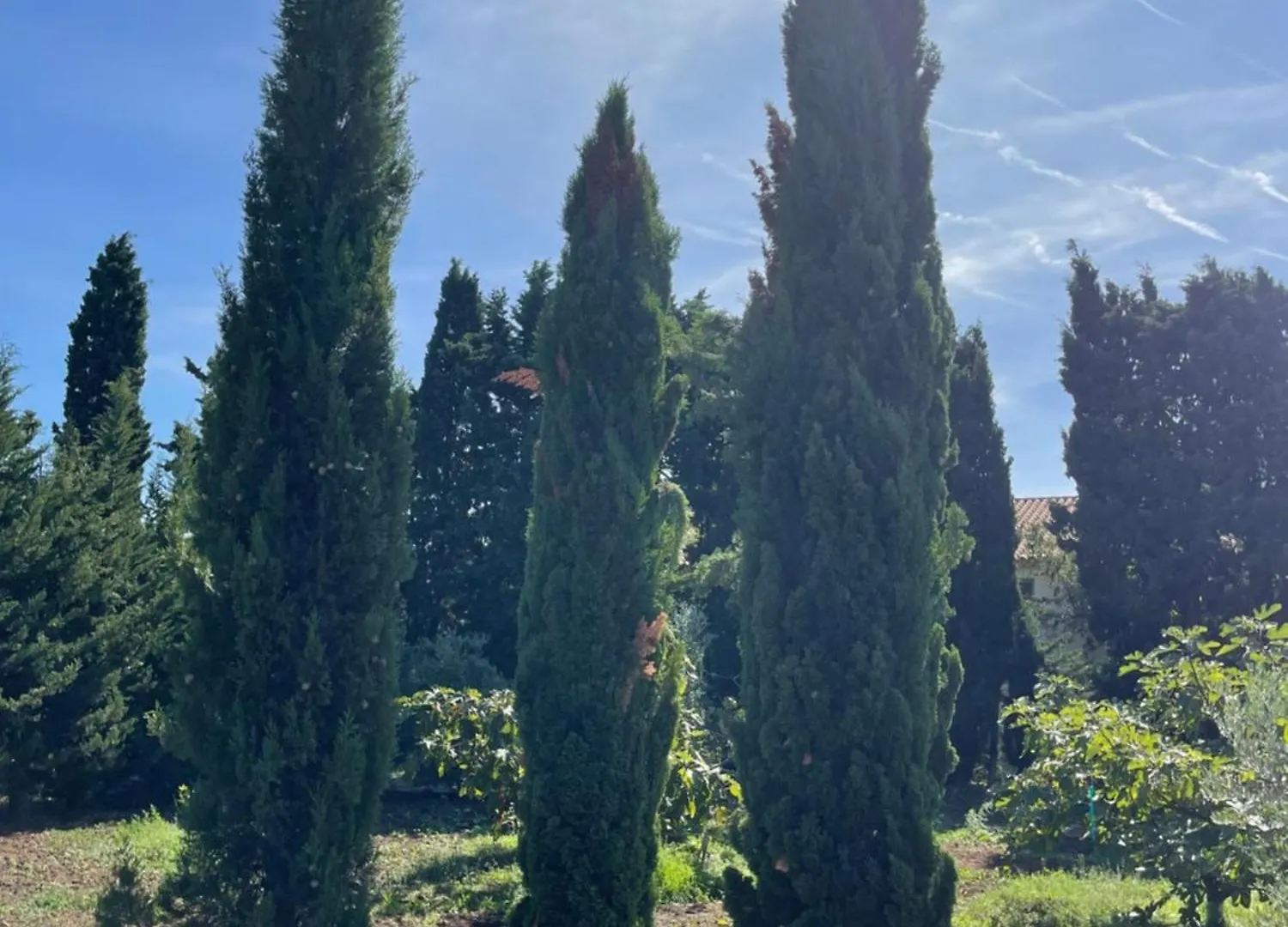 Gite Alpilles & Piscine - Oliveraie Bio Mas De Cargane Entressen 0*,  France